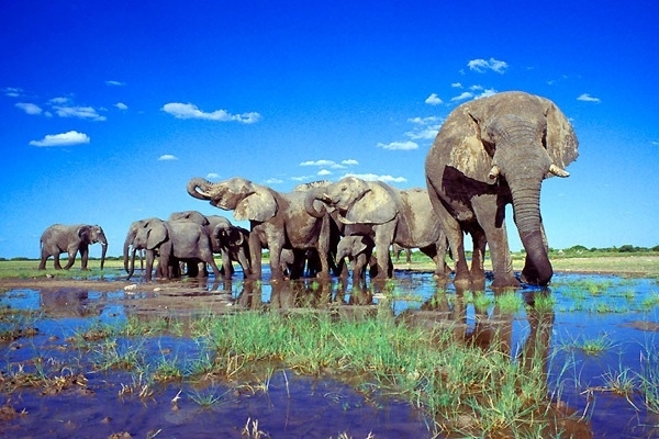 etosha.jpg