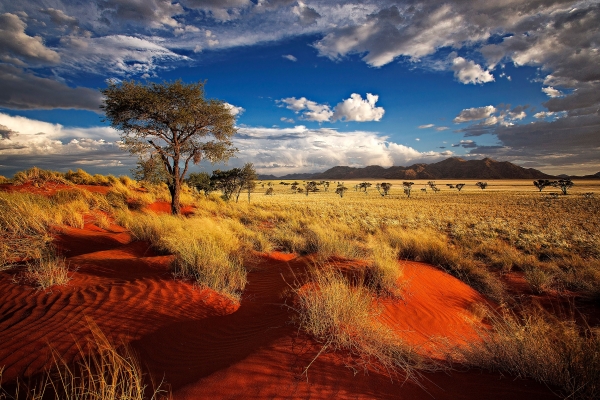 namibia.jpg