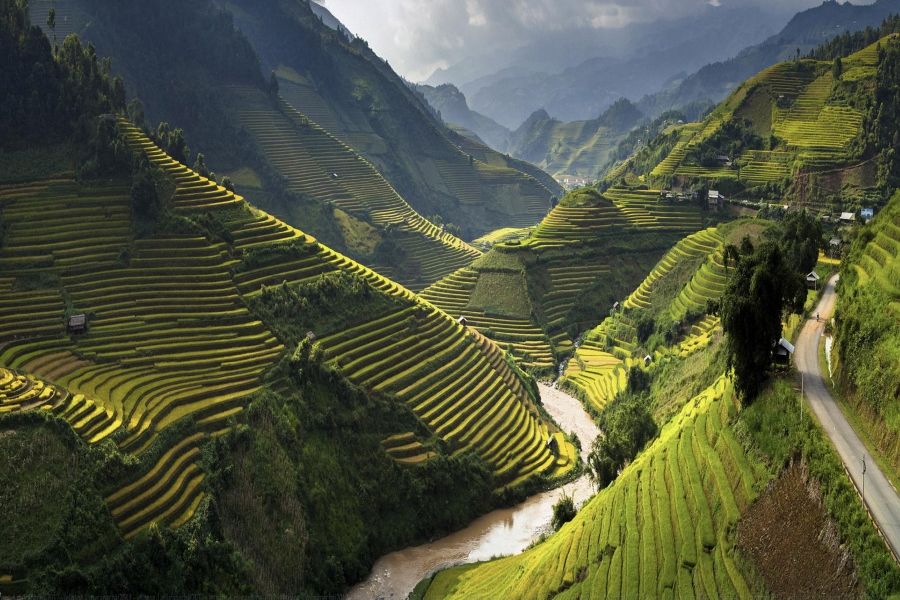 VIETNAM, CAMBOGIA E PHU QUOC